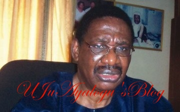 Buhari adviser, Sagay reveals why APC may lose power in 2019