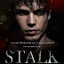 Capa Revelada/Cover Reveal: Stalk Her – Ker Dukey