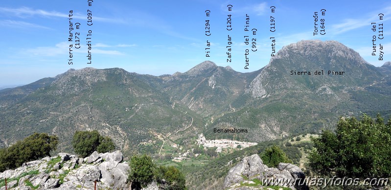 Cerros Albarracinejo-Peñuelas-Ponce-Albarracin y Alto del Puntal