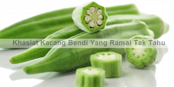 Khasiat Kacang Bendi