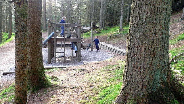 Wild Play at Whinlatter Forest in The Lake District - near to Keswick in Cumria.