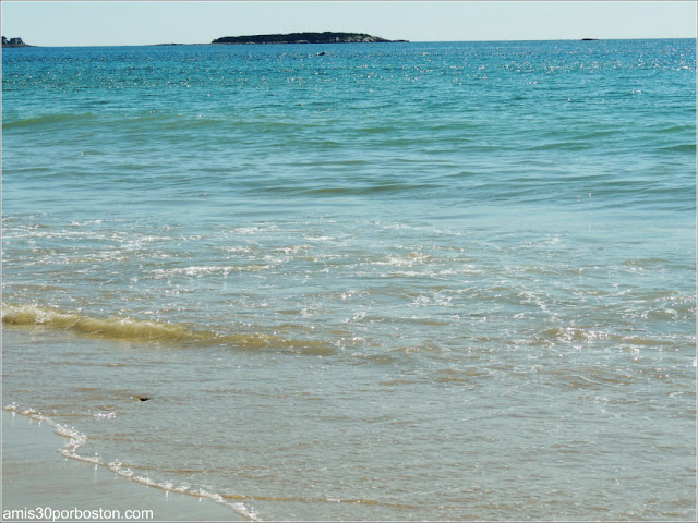 Playas de Massachusetts: Singing Beach