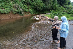 Dinas Perikanan Tinjau Lokasi Restocking Ikan Di Curug Manglid Cidahu
