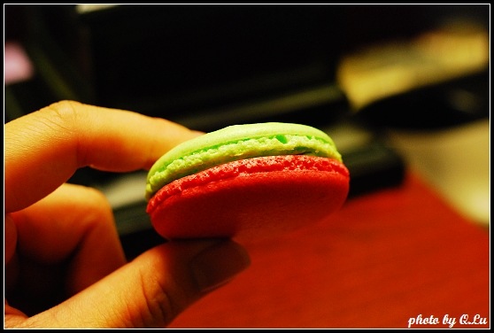 DSC_0121 DSC_0121
