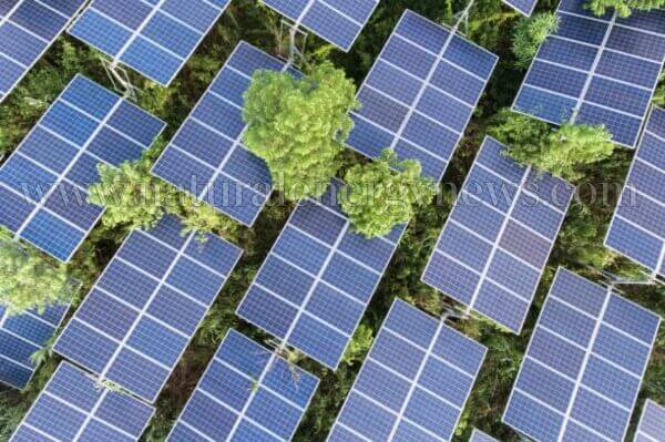 Tender for 6.4 GW solar projects from Andhra Pradesh, overbought by 8.5 GW