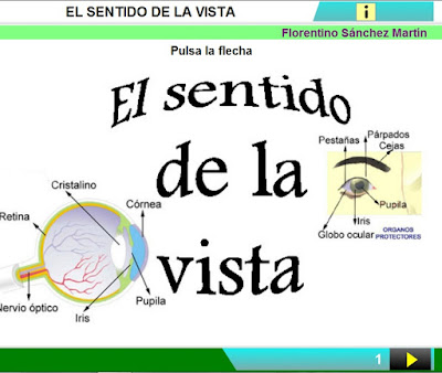 http://www.ceiploreto.es/sugerencias/cplosangeles.juntaextremadura.net/web/curso_4/naturales_4/la_vista/la_vista.html