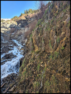 This Dripping Fall next to Lost Creek Fall is helping this wall pop green with moss and grass.