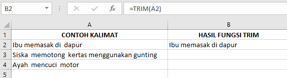 Rumus Fungsi “TRIM” pada Microsoft Excel dan Contohnya