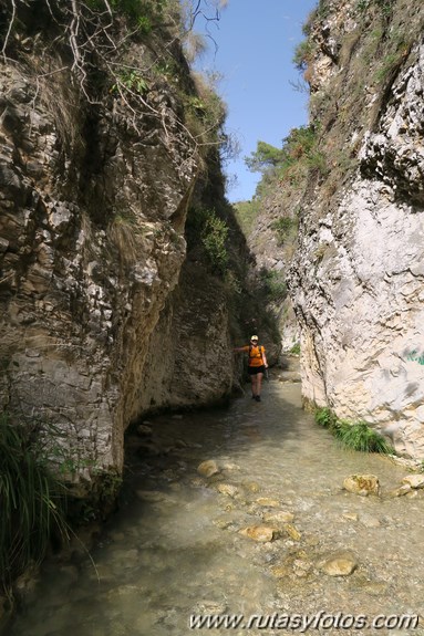 Sierra de Enmedio - Cruz del Pinto - Río Chíllar