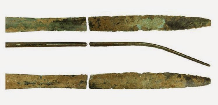 Metal detecting finds go on show at Salisbury Museum