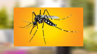 Nyamuk tertarik pemanas teras dan cara mengusir serangga