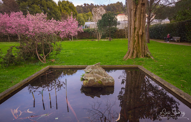 Parque de Castrelos y Museo Quiñones de León en Vigo