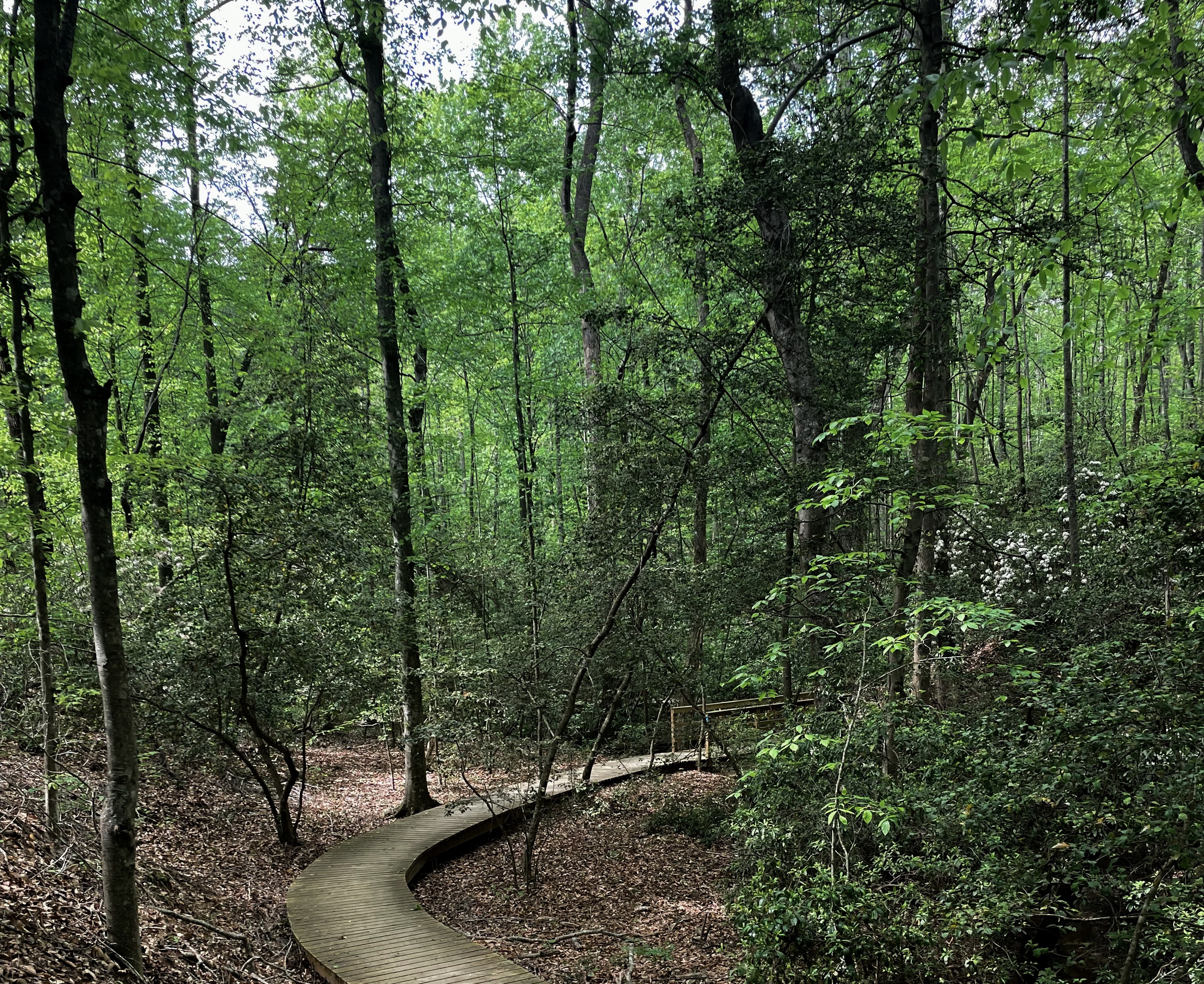 Nalley Brown Nature Park in Easley