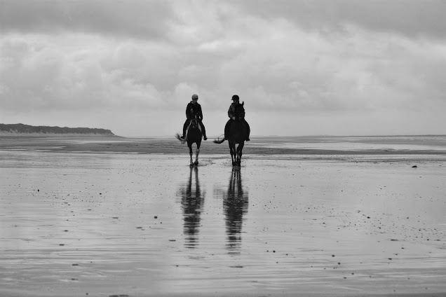 Horses on the beach