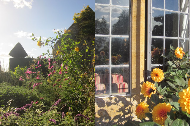 Floral border, dahlias by a leaded window