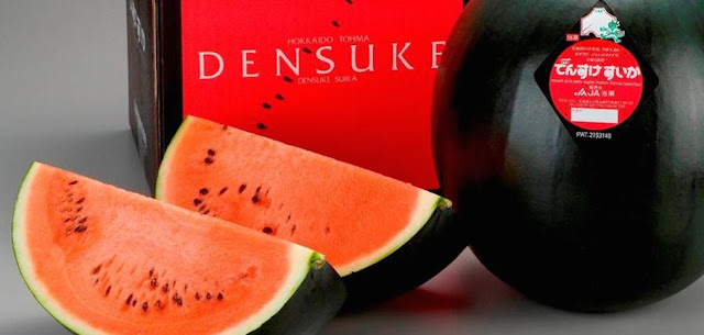 Densuke Watermelon, Watermelon, Most Expensive Fruits in the World