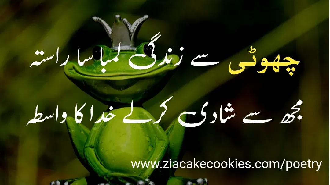 funny shayari in urdu