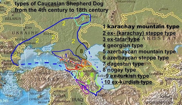 карачаевские кавказские типы овчарок