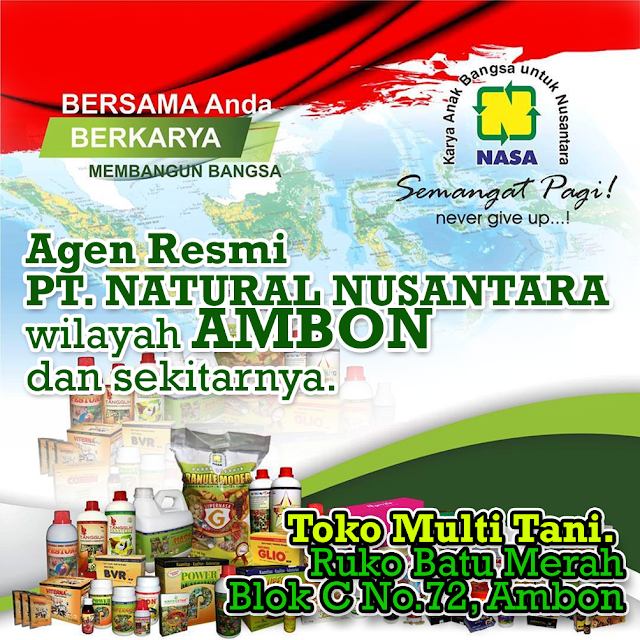 Alamat Agen Distributor RESMI NASA di Ambon dan Sekitarnya.