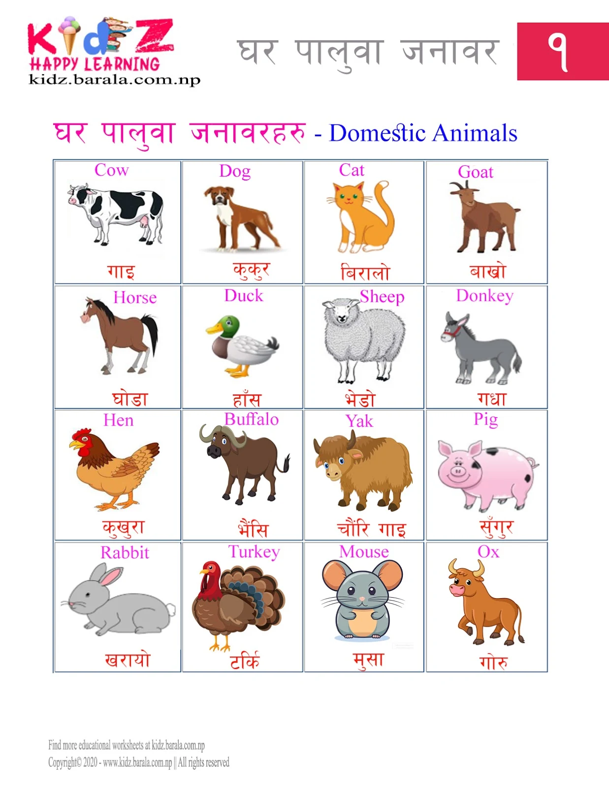 Domestic Animals घरपालुवा जनावर  in Nepali and English list free download