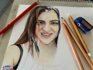 coloured pencils pitt pastel drawing