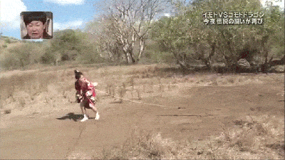 15 Gif Aksi Lucu Dari Game Show Jepun Yang Serius Lawak..!!! - Selongkar10