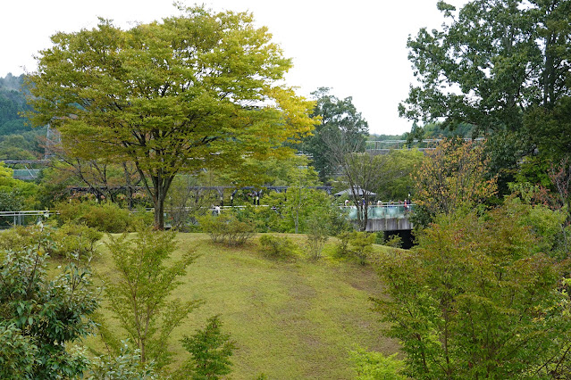 鳥取県西伯郡南部町鶴田　とっとり花回廊