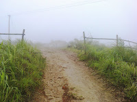 Ilaveezhapoonchira Hillstation, Ilaveezha Poonchira Exploration of Natural Wonders