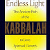 Télécharger Endless Light: The Ancient Path of Kabbalah Livre audio