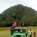 ReGioNetNoticias ( RGNN-REDACCION NACIONAL ) / Toche, Tolima: el santuario de palma de cera más grande del planeta que empieza a captar la atención del turismo de naturaleza  mundial 