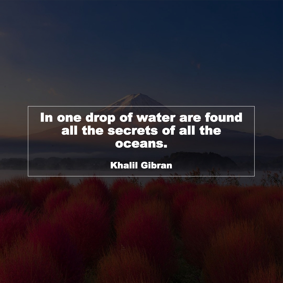 In one drop of water are found all the secrets of all the oceans. (Khalil Gibran)