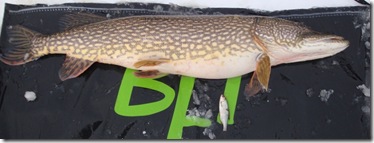 11220g-116cm (k)