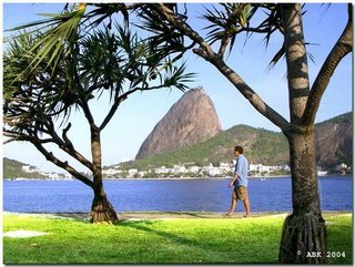 Por uma Ipanema mais verde...