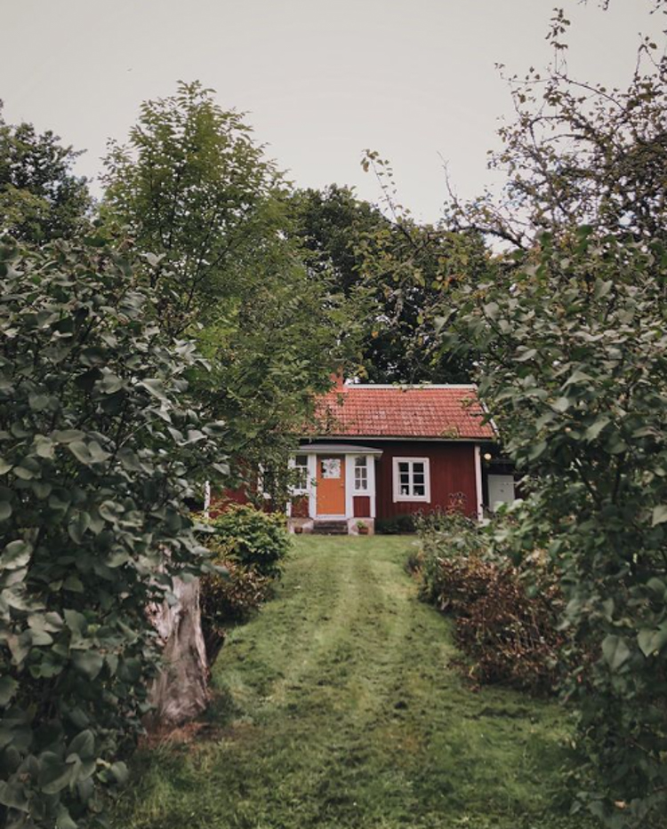 Hannah's Swedish City Apartment and Country Summer Cottage