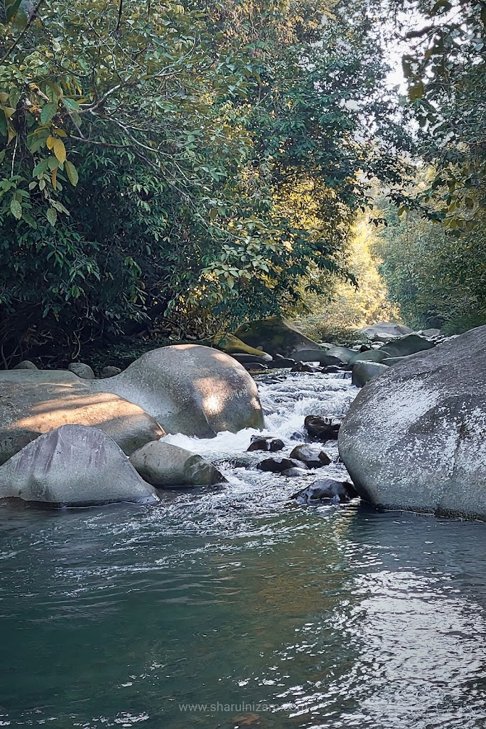 Nohutu Ecotourism, Sungai Melangkap, Polumpung, Kota Belud