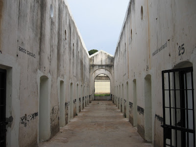 Cells in Freedom Park, Sheshadri Road, Bangalore