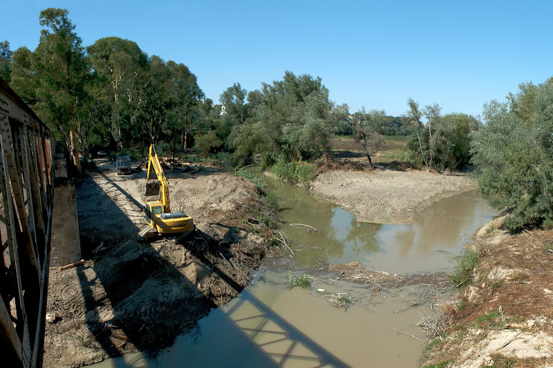 Restauración ambiental junto al puente de hierro de la Junta de los Ríos