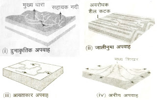 अपवाह तंत्र