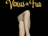 [HD] La Venus de las pieles 2013 Pelicula Online Castellano
