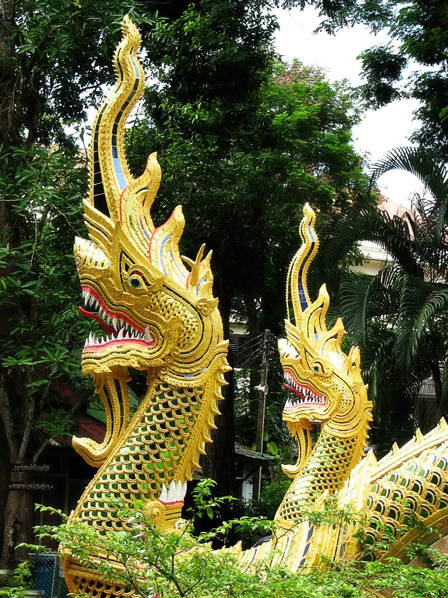 The World of Statues Dragons Naga  From Thailand