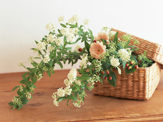 Love The Basket Flowers Wallpaper