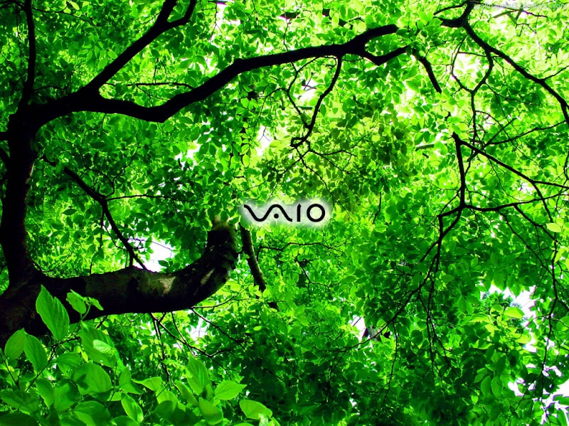 Sony VAIO Widescreen Wallpaper 13