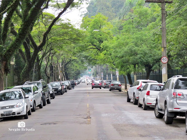 Vista de trecho da Avenida Quarto Centenário - Ibirapuera - São Paulo