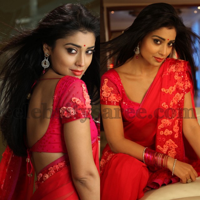 Shriya Saran in a backless Saree