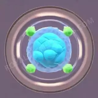 single cell in a petri dish