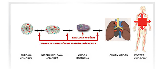 Medycyna Komórkowa - Największy Przyjaciel Kobiety