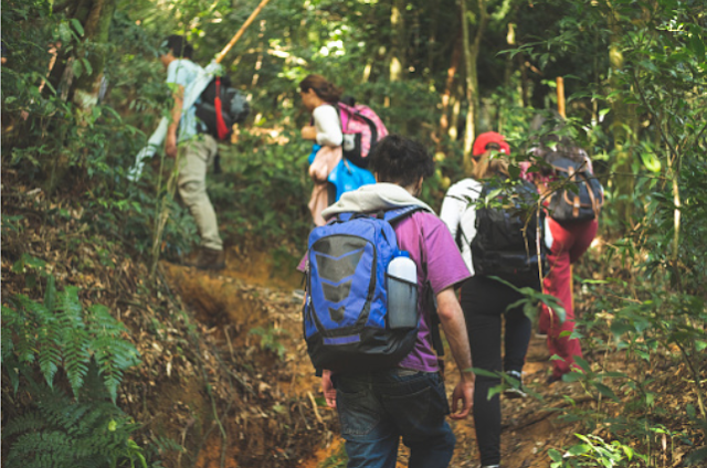 Ecotourism: An Alternative Tourism: Jungle walk in group