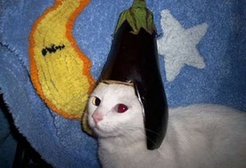 eggplant