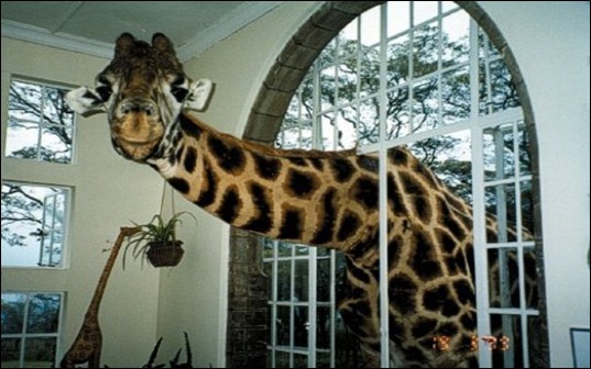 clip_image009[6]