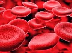 Darah Kotor Penyebab Gatal Gejala Dan Pengobatan Obat 